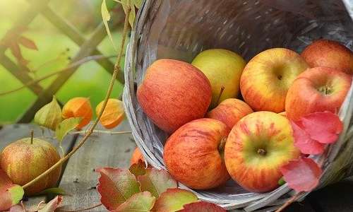 La mela verde è un alimento ricco di fibre, elementi molto importanti per il benessere del nostro intestino.