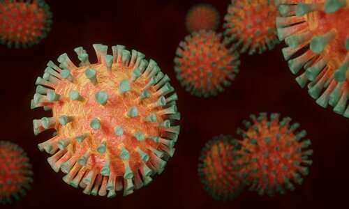 Immagine microscopica del virus che causa la covid-19, causa di stress e compromissione della salute durante la pandemia