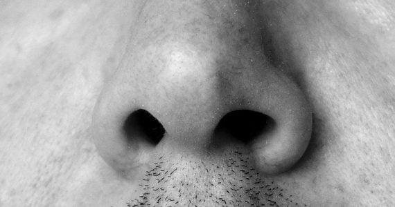L'olfatto è un senso poco considerato, ma che riveste funzioni molto importanti anche nell'uomo.