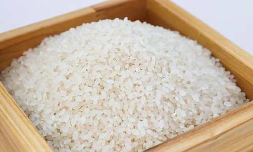 Il riso è tra i cereali più importanti per l'alimentazione umana, soprattutto nei paesi asiatici.