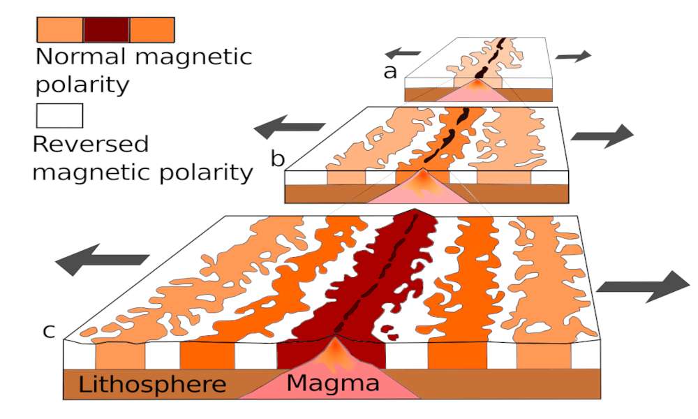 Immagine delle anomalie magnetiche, segno dell'attività della tettonica a placche