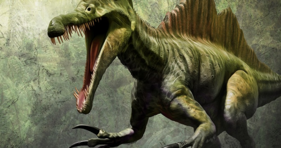 Lo spinosauro aveva uno stile di vita acquatico, era in grado di nuotare ed utilizzava la coda come pinna.