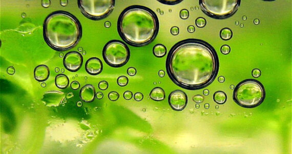 I biocarburanti sono nuovi combustibili prodotti dal riciclo di scarti organici non altrimenti utilizzabili.
