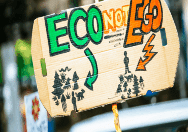 L'immagine rappresenta un cartello, portato durante una manifestazione, che sprona a scegliere la consapevolezza ecologica e non a seguire il nostro ego che conduce a consumare le risorse ambientali. Questa è una preoccupazione fondata alla base dell'ecoansia.